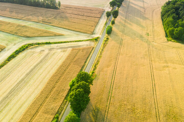 Rozległa równina pokryta łąkami i polami uprawnymi. Łąki pokryte są zieloną trawą, pola porośnięte są dojrzałym, żółtym zbożem. Przez równinę przebiega wąska, lokalna, asfaltowa droga. - 628978423