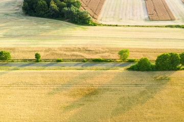 Rozległa równina pokryta łąkami i polami uprawnymi. Łąki pokryte są zieloną trawą, pola porośnięte są dojrzałym, żółtym zbożem. Przez równinę przebiega wąska, lokalna, asfaltowa droga. - 628978442