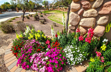 Flower Bed At Entrance To Gated Desert Community