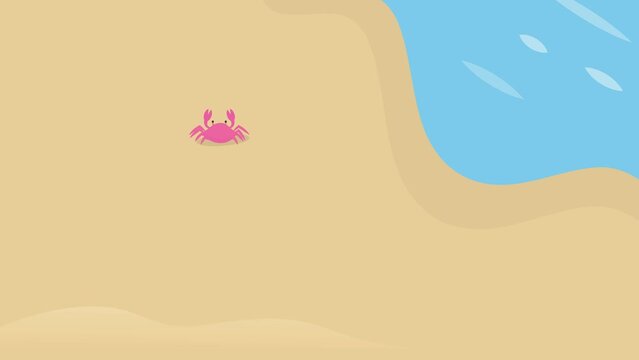 Beach from above