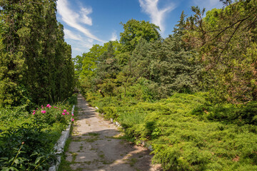 Fototapeta na wymiar Botanical garden in Kamianets-Podilskyi, Ukraine.