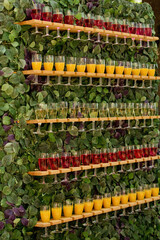 A lot of wine glasses with different types of wine at the ceremony. Selective focus.