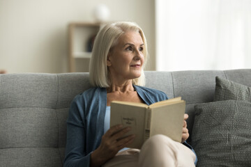 Dreamy pensive senior reader woman sitting on cozy couch at home, reading book, bestseller novel,...