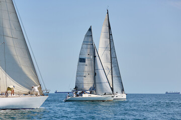 Obraz premium Sailing yacht regatta. Many sailing yachts in a row. sailing yachts under gennaker, speaker, genoa