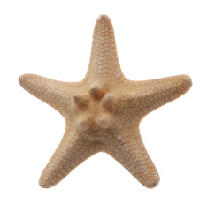PNG Beige starfish isolated on  transparent background. - obrazy, fototapety, plakaty