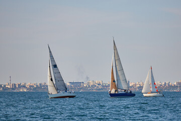 Obraz na płótnie Canvas Sailing yacht regatta. Many sailing yachts in a row. sailing yachts under gennaker, speaker, genoa