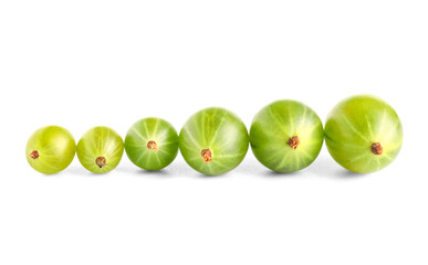 Fresh gooseberries on white background