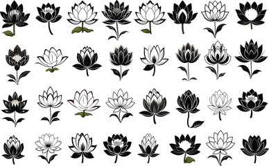 flower leaf lotus silhouette illustration white black floral nature ornament petal yoga abstract decoration pattern vector background vector set
