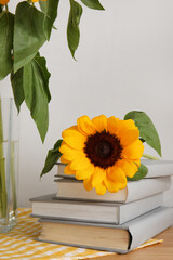 Beautiful sunflower with books on shelf near light wall