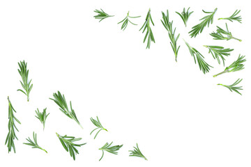 Fototapeta premium Fresh green rosemary isolated on a white background with copy space for your text. Top view. Flat lay