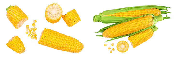 ear of corn isolated on a white background. Top view. Flat lay