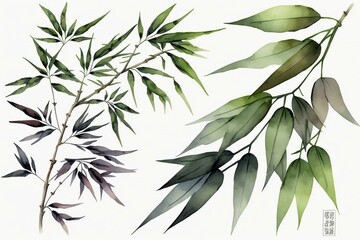 Bamboo leaves in watercolor on white background. Generative AI