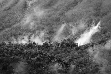 Blue River Provincial Park (Parc provincial de la Rivière Bleue), in Yaté Commune, South Province, New Caledonia, tropical landscape with haze, maquis shrubland, black and white.