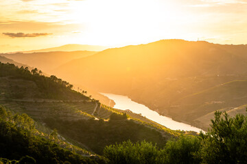 Viewpoint view of terraced vineyards at romantic in Douro valley near Pinhao village, heritage of humanity	