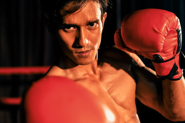Muay Thai boxer punch his fist in front of camera in ready to fight stance posing at gym with...
