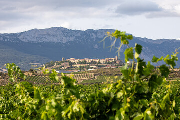 Laguardia among the vineyards