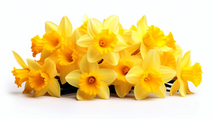 yellow daffodils isolated on white. Generative Ai. 