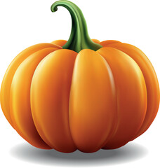 Autumn pumpkin isolated on white background vector   3d illustration