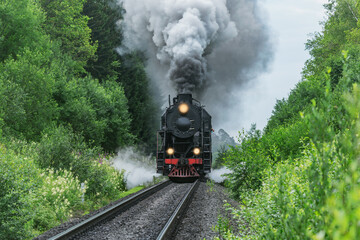 Retro steam train moves in the forest.