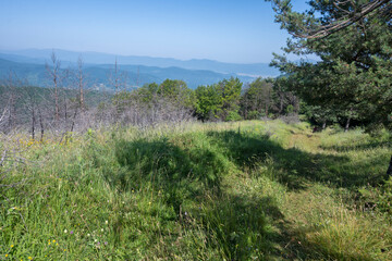 Landscape of Erul mountain near Kamenititsa peak, Bulgaria