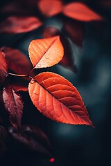 A lot of colorful leaves in the style of naturalistic tones