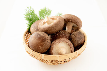 しいたけ籠盛り shiitake mushroom