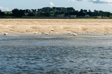 Dolmen von Guinirvit an der Baie von Kernic, Plouescat, Bretagne