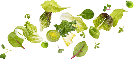Falling salad leaves isolated, mix of fresh lettuce, rucola, kale, spinach and different microgreen...
