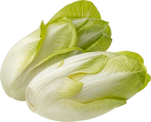 Fresh endive, green chicory salad isolated on white background