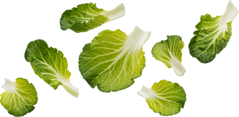 Falling Bok Choy or Pak Choi leaves isolated