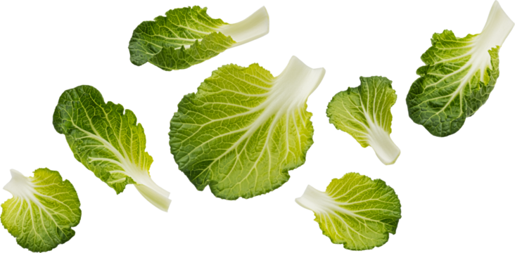 Falling Bok Choy or Pak Choi leaves isolated