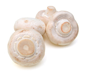 A sections of mushroom on white