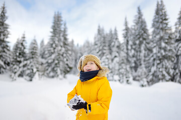 Happy preteen boy having fun playing with fresh snow during vacation in european Alps. Child...