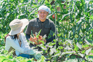 畑で野菜を収穫する農家・生産者の女性・男性・夫婦（アジア人・日本人・中国人）
