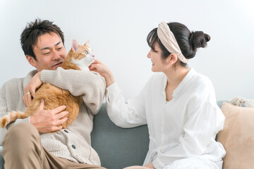 家で猫を飼うカップル・夫婦（飼い主）

