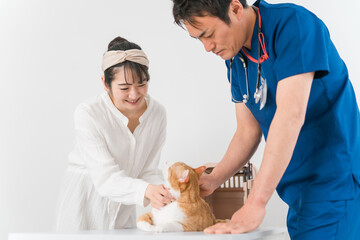 動物病院で獣医師に診察を受ける猫と飼い主のアジア人女性（ペット・相談・診察・診療）
