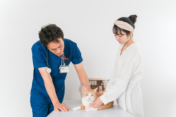 動物病院で獣医師に診察を受ける猫と飼い主のアジア人女性（ペット・キャリーバッグ）
