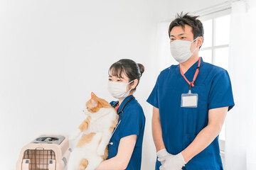 猫を抱く動物病院の男女の日本人獣医師
