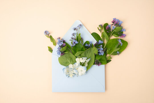 Virginia bluebell flowers in a light blue envelope flat lay on a ream yellow background