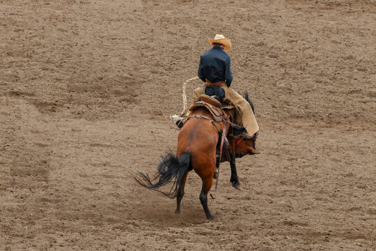 A cowboy is riding a bucking bronco at a rodeo in an arena. The horse has its front legs off the ground. The cowboy is wearing black. They are on a dirt arena.