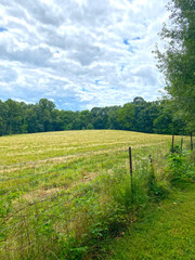 Obraz premium field and sky