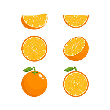 Orange fruit vector design collection