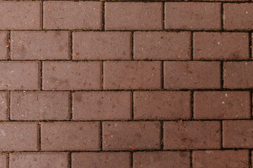 Solid concrete wall textured backdrop