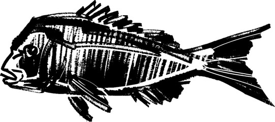vector sketch of the hand drawn fish