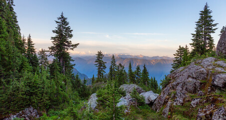 Green trees on top of Canadian Mountain Landscape. Sunny Sunset Sky. Nature Background