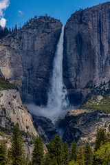 Obraz premium Yosemite Falls from Southside Drive near Swinging Bridge Picnic Area in Yosemite Valley, Yosemite National Park, California, USA in May of 2023 