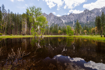 View of Mountains reflecting on flood water pond from Northside Drive in Yosemite Valley, Yosemite National Park, California, USA in May of 2023
