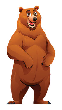 Bear cartoon character illustration isolated on white background