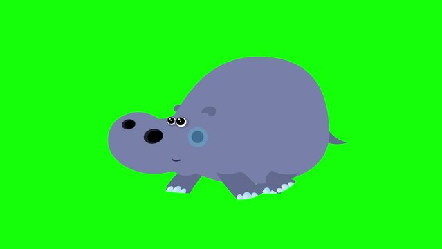 Cartoon hippopotamus flat design children animation greenbox. Cute 2d hand made African blue grey animal character walking animation good for any use. 