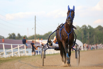 Horses and riders running at horse races